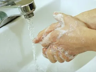 прищі пеніс