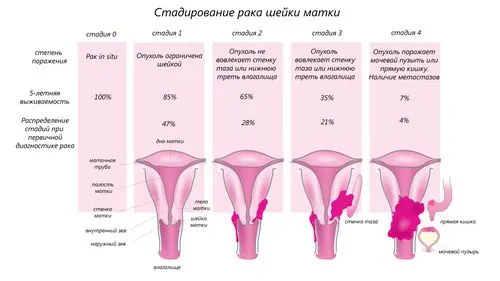 прогноз
