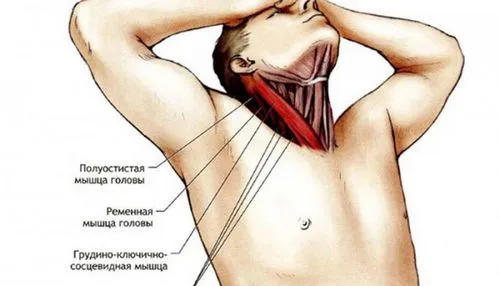 як лікувати розтягнення м'язів в домашніх умовах