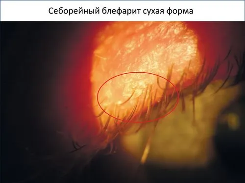 дитячі меблі