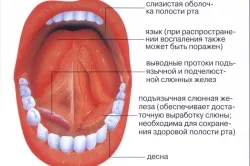 Стоматит у дітей: види, причини і симптоми як лікувати стоматит на щоці