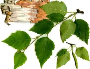 як лікувати запалення суглобів народними засобами