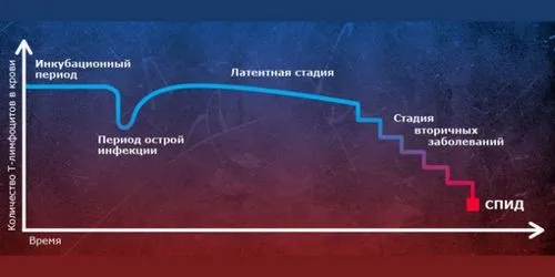 3 стадія стадії по Покровському 4 стадія