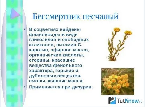 корисні трави