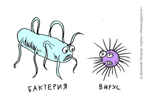 5 Міфів про грип: розповідає вірусолог як лікувати грип антибіотики