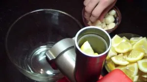 судини