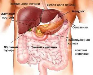 як лікувати жовч і печінку
