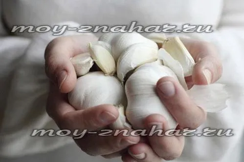 шкідливий