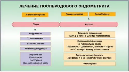 ендометрит запалення матка слизова оболонка підвищення температури гнійні виділення піхву гостру хронічну причини симптоми лікування