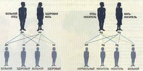 як вилікувати алергію раз і назавжди