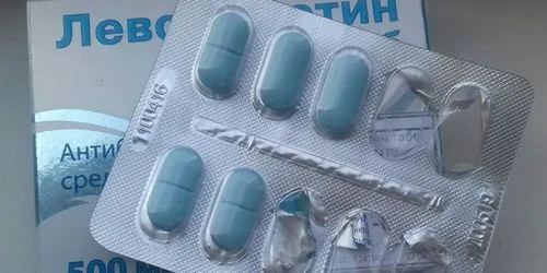 нирка