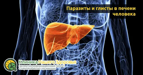 як лікувати глисти в печінці