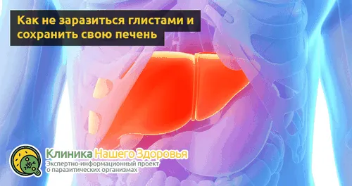 як лікувати глисти в печінці