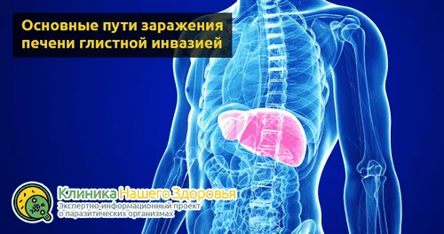 як лікувати глисти в печінці