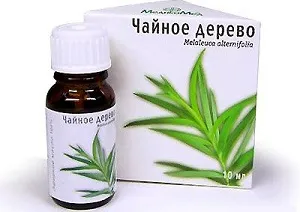 бородавка