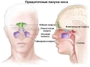 як вилікувати фронтит без антибіотиків