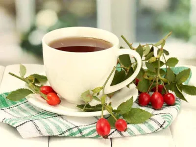 як лікувати нирки шипшиною