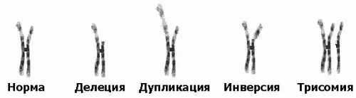 як лікувати гематому печінки