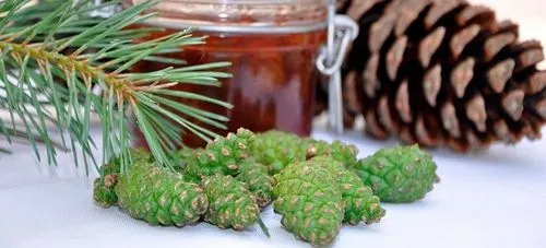 як лікувати інсульт народними методами