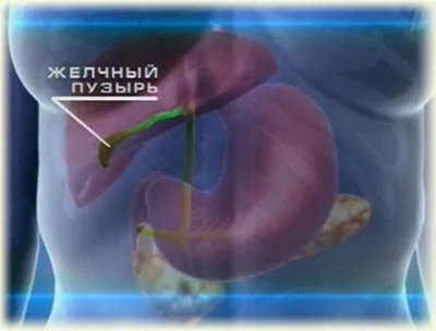 як лікувати жовч в домашніх умовах