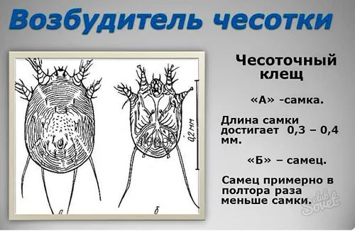 як лікувати повторну коросту