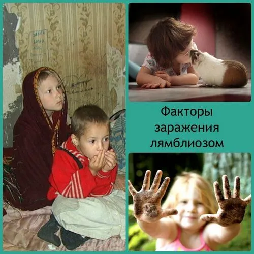 Лямблії: лямбліоз у дітей, симптоми, лікування, дієта дитячі