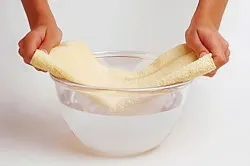 нервова система