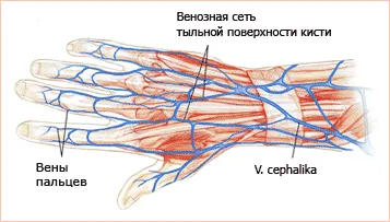 чому лопаються судини на пальцях рук і з'являються синці