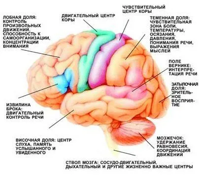 чи можна лікувати інсульт будинку