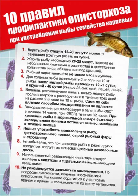 опісторхоз