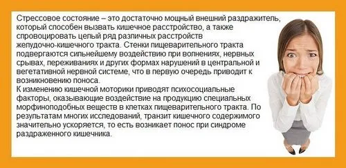 кишечник