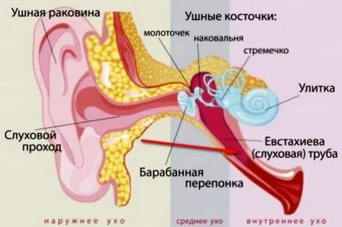як лікувати отит у грудничка