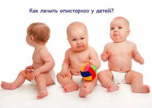 Опісторхоз у дітей: симптоми і лікування небезпечного захворювання опісторхоз діти лікування симптоми гельмінт паразит препарати ліки причини зараження