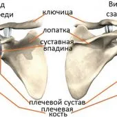 Шийний артроз - це не вирок лікувати артроз шийного відділу хребта