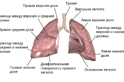 скільки лікувати пневмонію