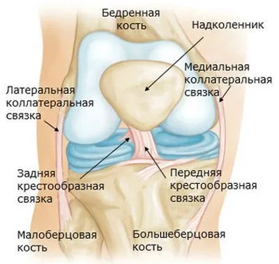 як лікувати розтягнення хрестоподібних зв'язок
