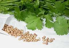 як лікувати кропивницю будинку