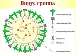 як лікувати вірус грипу а