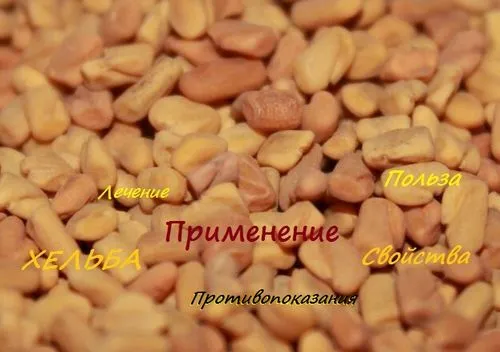 як лікувати печінку Хельба