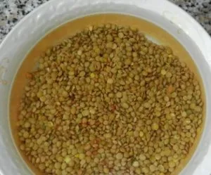 Feluri de mâncare de linte simple și gustoase rețete cu pas cu pas fotografii (delicioase) Feluri de mâncare de linte simple și gustoase rețete cu pas cu pas fotografii