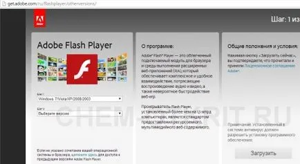 Deschis swf - instruirea simplă și selectarea programelor