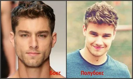 Ceea ce este diferit de tunsoare box poluboks comparație 15 fotografie