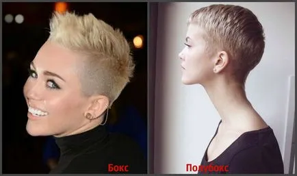 Ceea ce este diferit de tunsoare box poluboks comparație 15 fotografie