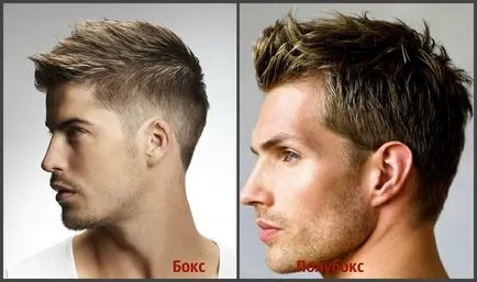 Ceea ce este diferit de tunsoare box poluboks comparație 15 fotografie