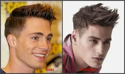 Ceea ce este diferit de tunsoare box poluboks comparație 15 fotografie