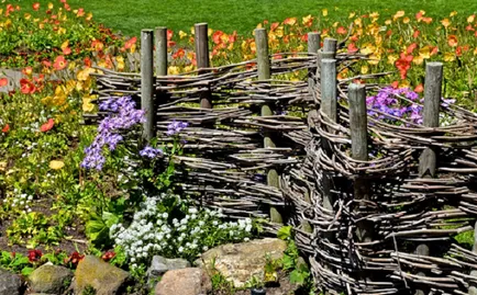 Borders pentru paturi de flori fotografie