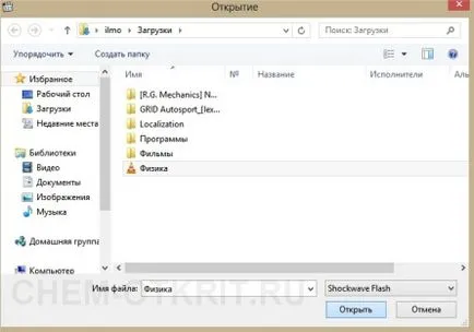 Deschis swf - instruirea simplă și selectarea programelor