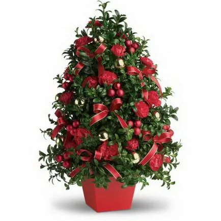 Ce se poate înlocui copac - o alternativă demnă de a (pot fi cultivate la domiciliu) Ce se poate înlocui copac - o alternativă demnă
