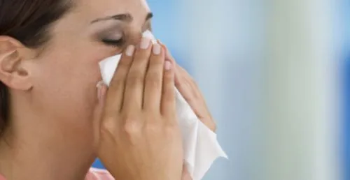 Жовті соплі як лікувати жовтий нежить