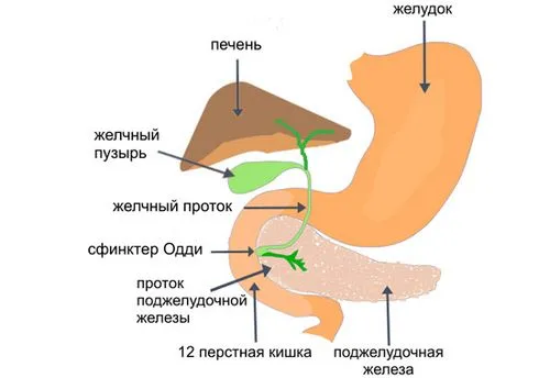 як лікувати непрохідність жовчі